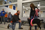 Kiss the Goat for Vets