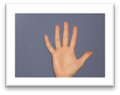 Description: HAND.jpg