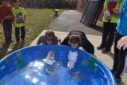 Students racing handmade boats in pool