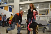 Kiss the Goat for Vets